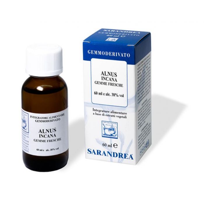 ALNUS INCANA 100 ML MACERATO GLICERICO